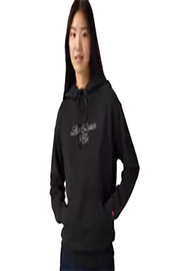 GRAPHIC SWEATSHIRT-HOODIE RHINESTONE SCRIPT ANTHRACITE